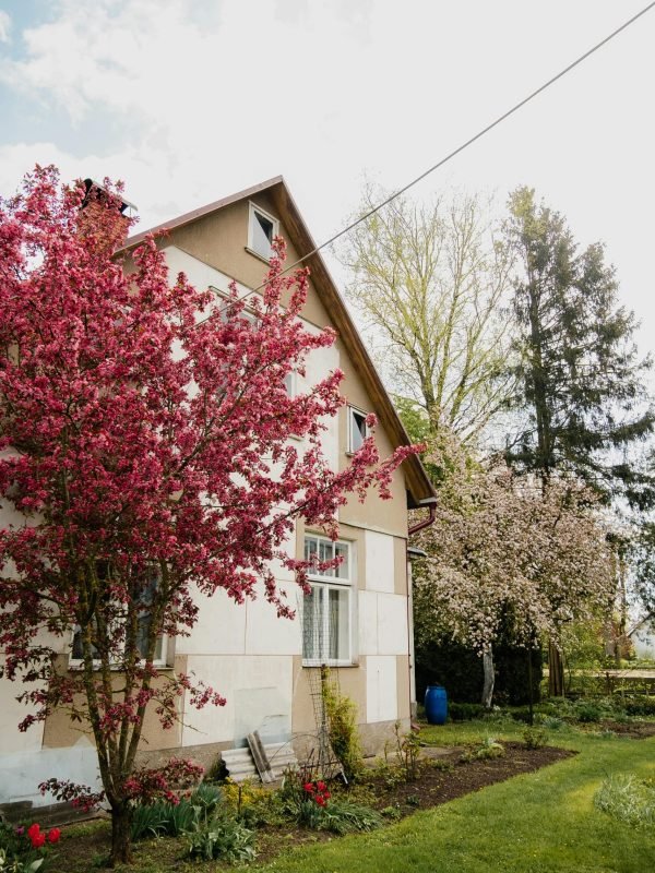 pexels-miami302-32034614 pexels-miami302-32034614